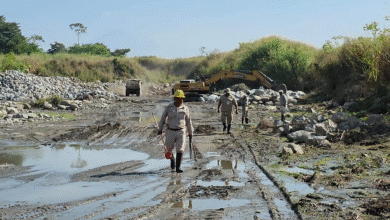 Vigilancia entomológica refuerza acciones contra el mosquito transmisor en Tapachula