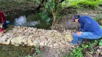 Chiapas restaura microcuencas para garantizar agua y reducir riesgos ambientales