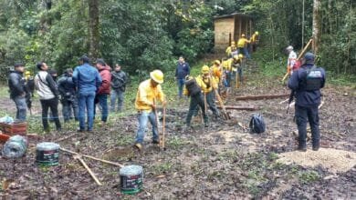 Comuneros denuncian despojo en La Trinitaria