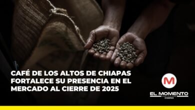Café de los Altos de Chiapas fortalece su presencia en el mercado al cierre de 2025