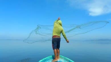Chiapas, quinto lugar nacional en producción pesquera y acuícola