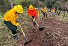 Chiapas refuerza prevención de incendios con acción simultánea en 17 municipios