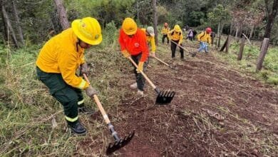 Chiapas refuerza prevención de incendios con acción simultánea en 17 municipios