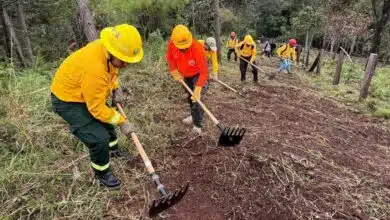 Chiapas refuerza prevención de incendios con acción simultánea en 17 municipios