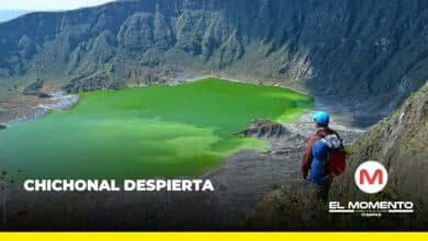 Chichonal despierta