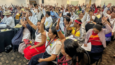 Consejo Nacional de Pueblos Indígenas propone que la Reforma Electoral garantice la representación política de los pueblos indígenas y afromexicanos
