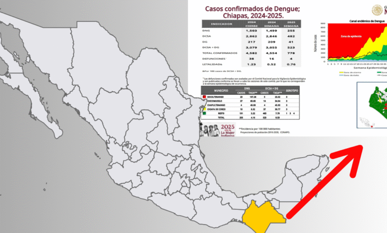 Dengue enfermedad endémica de chiapas (1)