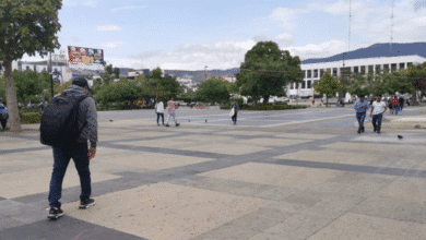 Enfermedades cardiovasculares y tumores un peligro silencioso