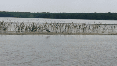 Erosión provoca disminución de laguna en Chiapas