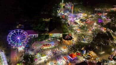 Expo Feria Tapachula 2026 Artistas y fechas de conciertos