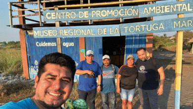 Impulsan conservación de mamíferos marinos en la Costa de Chiapas