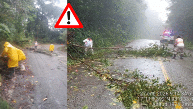 Lluvias intensas dejan afectaciones en Chiapas