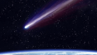 C/2024 E1: ¿cuándo ver el cometa Wierzchos en México?