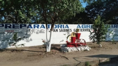 Adolescente da a luz en baño de la escuela
