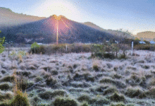 Alerta por frente Frío 33