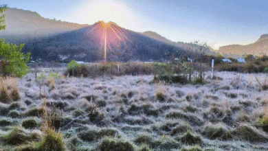 Alerta por frente Frío 33
