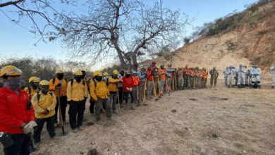 Alrededor de 720 hectáreas siniestradas
