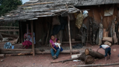 Ante ausencia de lectura,aumenta analfabetismo