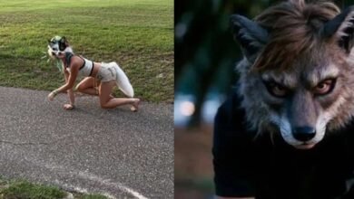 Argentina inaugura escuela para therians y causa polémica. (Foto: Redes Sociales).