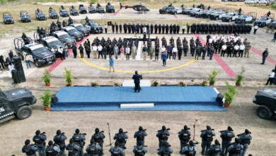 Avanza nueva ley de armas