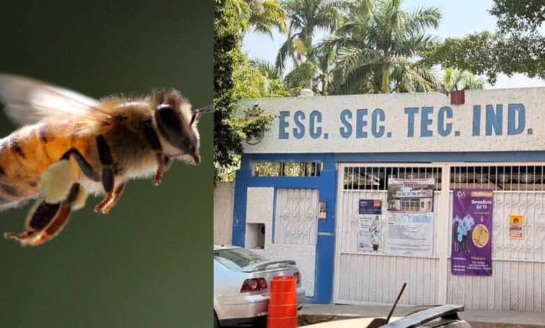 Bomberos y Protección Civil atienden ataque de abejas en secundaria de Tuxtla Gutiérrez