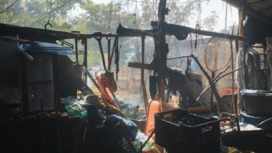Buscan recaudar fondos para rehabilitar centro de rescate de fauna silvestre