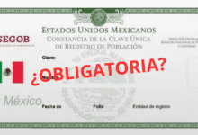 CURP biométrica ¿es obligatoria para migrantes en México Esto aclaran las autoridades
