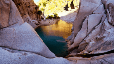 Cañón de Guadalupe un oasis de aguas termales en el corazón del desierto