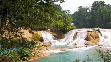 Cascadas Tulijá, uno de los paisajes más imponentes del estado