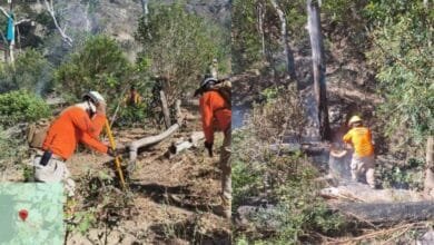 Chiapas dentro de los 10 primeros lugares con la mayor cantidad de incendios forestales