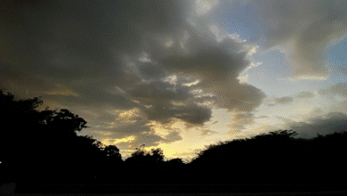 Continuarán heladas en la región de los altos en Chiapas