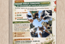 Convocan a primera reunión de Therian en Tuxtla Guitiérrez