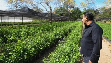 Eduardo Ramírez presenta programa de reforestación y obras viales en Chiapas (1)