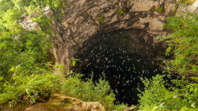 El Sótano de las Golondrinas, el abismo natural que asombra al mundo desde San Luis Potosí