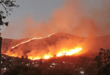 Mega incendio forestal moviliza a cuerpos de emergencia en Oaxaca, Monte Albán