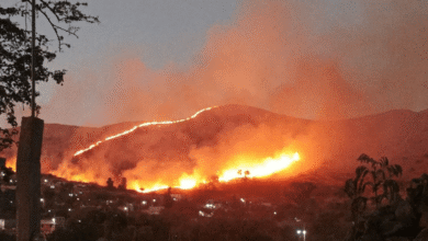 Mega incendio forestal moviliza a cuerpos de emergencia en Oaxaca, Monte Albán