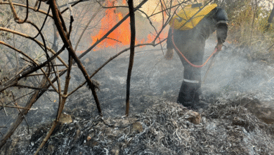 Incendios ocasionan contingencia ambiental en Chiapas