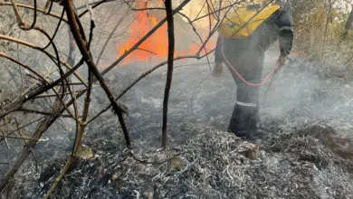 Incendios ocasionan contingencia ambiental en Chiapas