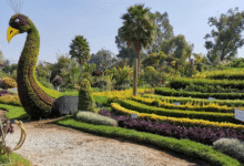 Jardín Mágico de Atlixco, un paraíso floral en el corazón de Puebla