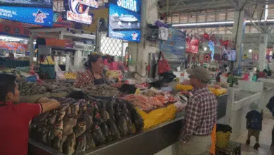 Lista la venta de Mariscos para cuaresma