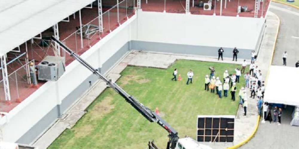 Avanza planta paran producir mosca estéril