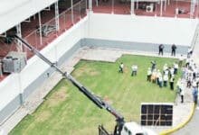 Avanza planta paran producir mosca estéril