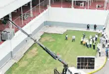 Avanza planta paran producir mosca estéril