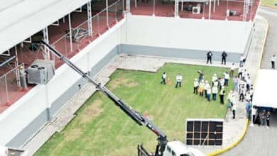 Avanza planta paran producir mosca estéril