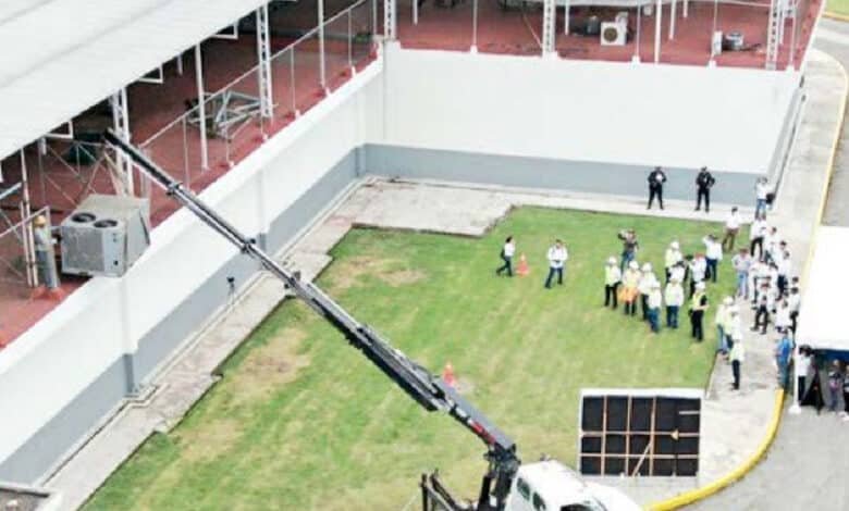 Avanza planta paran producir mosca estéril