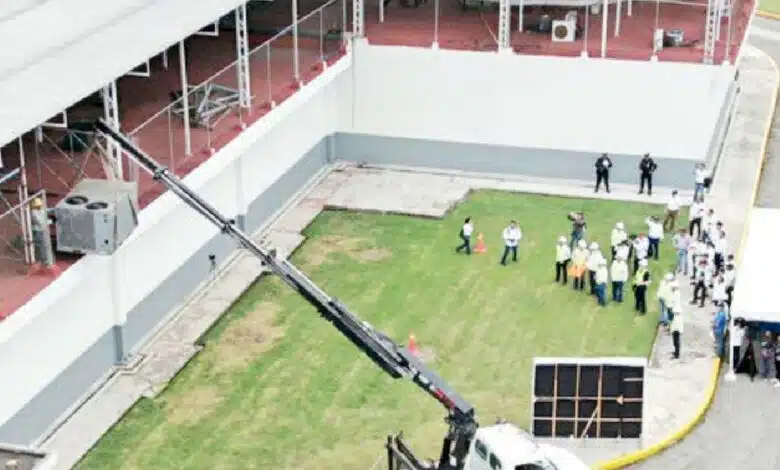 Avanza planta paran producir mosca estéril