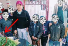 Maestro de Chilón, Chiapas vende cilantro con sus alumnos para que sigan estudiando
