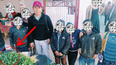 Maestro de Chilón, Chiapas vende cilantro con sus alumnos para que sigan estudiando