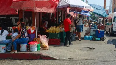 Prevalece ambulantaje pese a operativos
