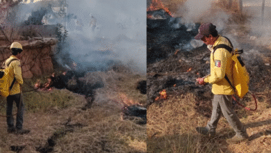 Protección Civil realiza quema controlada de pastizal como medida preventiva en Chiapas